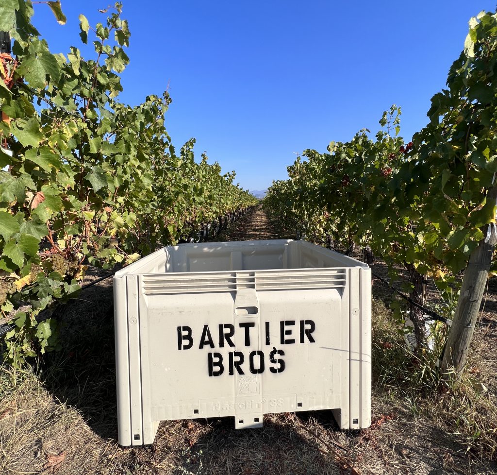 Bartier Bros. Harvest