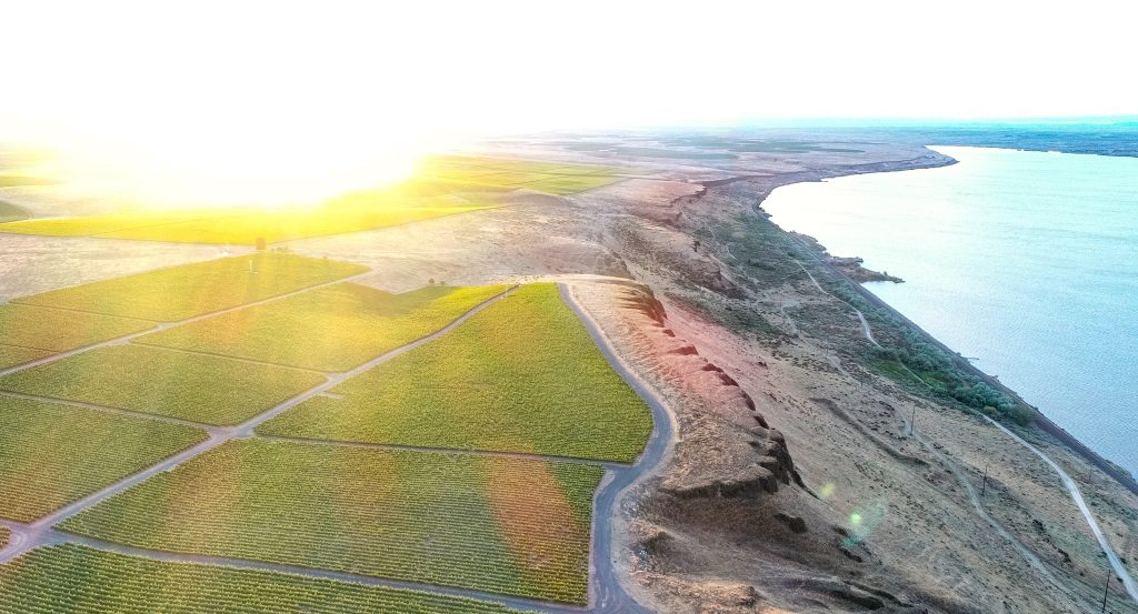McNary Vineyard, Horse Heaven Hills AVA