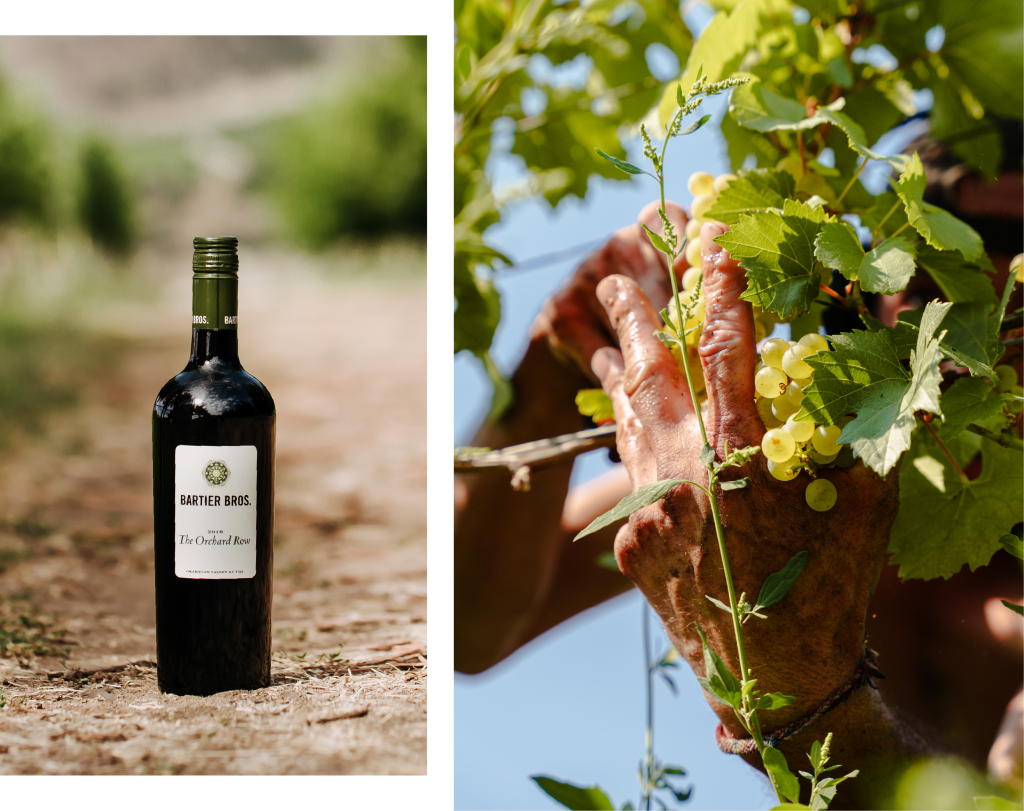 BB-Homepage-WineShop