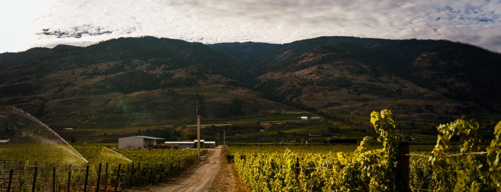 BB Winery Pano